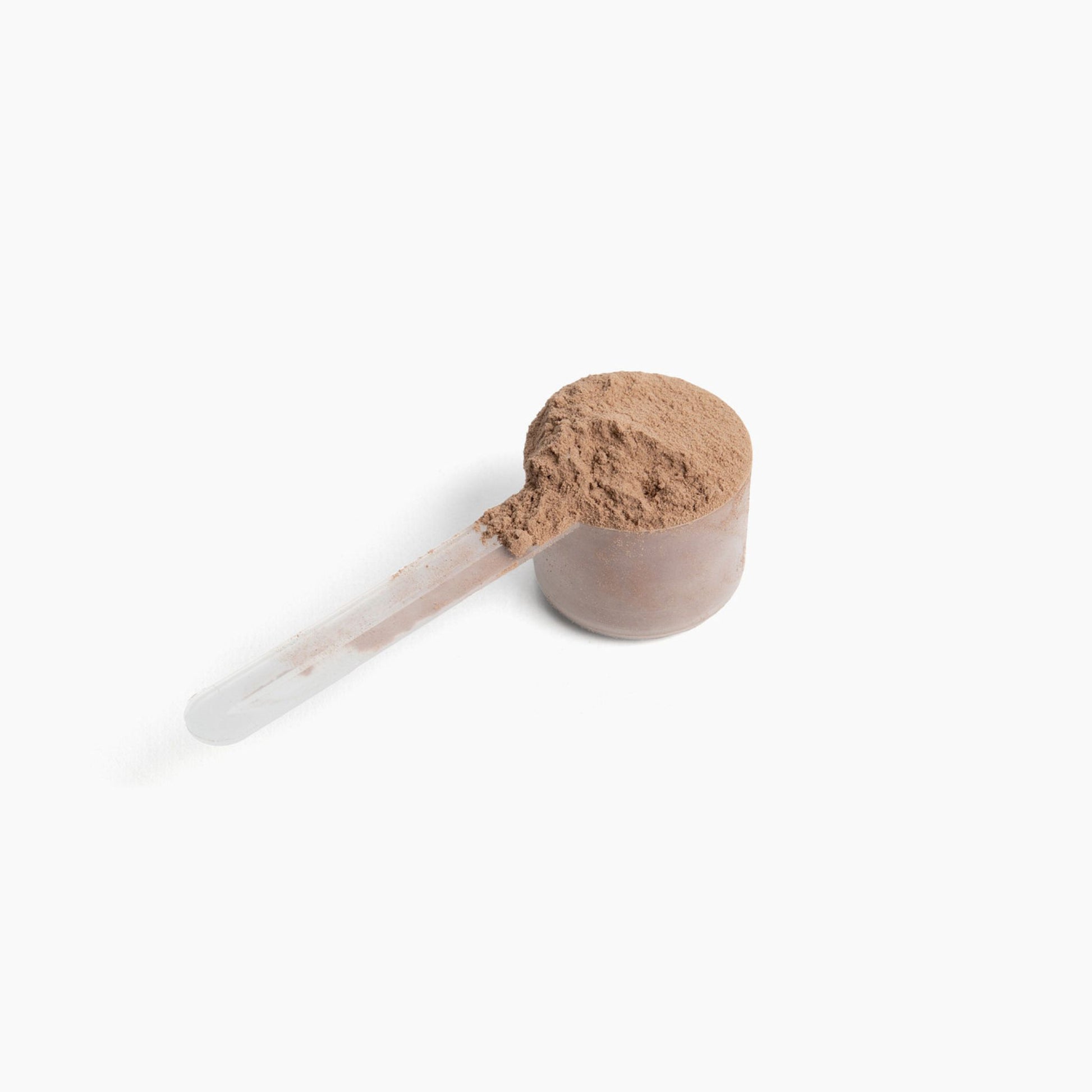 10X Health Plant Protein - Honey Vanilla Flavor