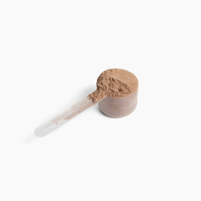 10X Health Plant Protein - Honey Vanilla Flavor