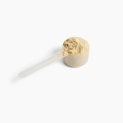 10X Health Plant Protein | Honey Vanilla